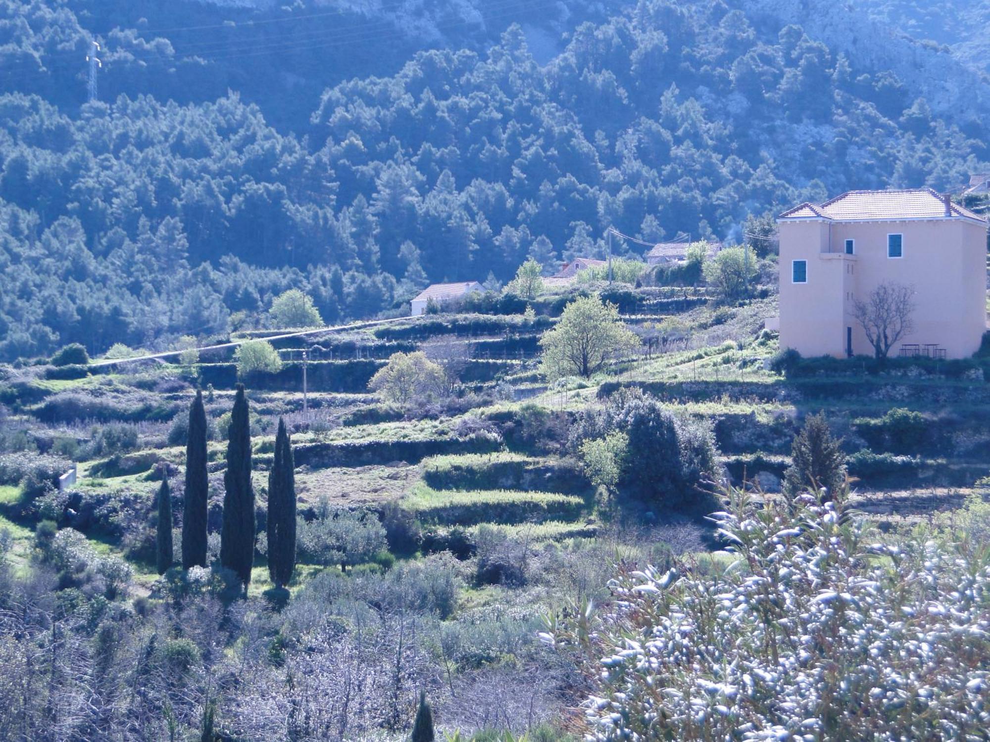 Heritage Apartments Kyra & Fox In Pitve, Hvar المظهر الخارجي الصورة